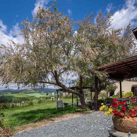 Agriturismo Il Canterino 구아르디스탈로 외부 사진