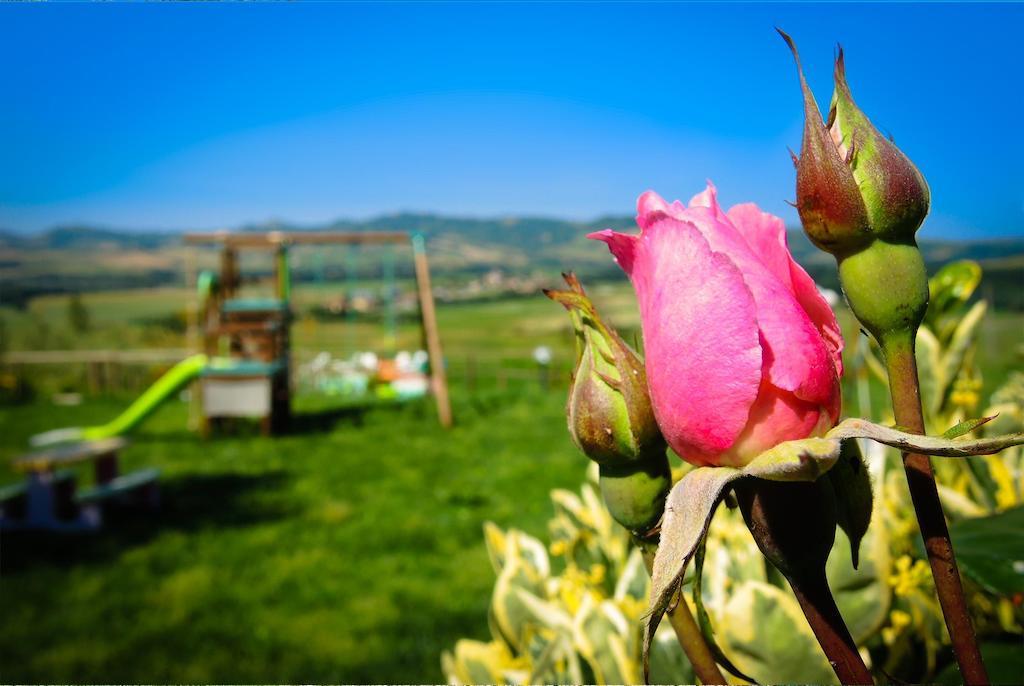 Agriturismo Il Canterino 구아르디스탈로 외부 사진